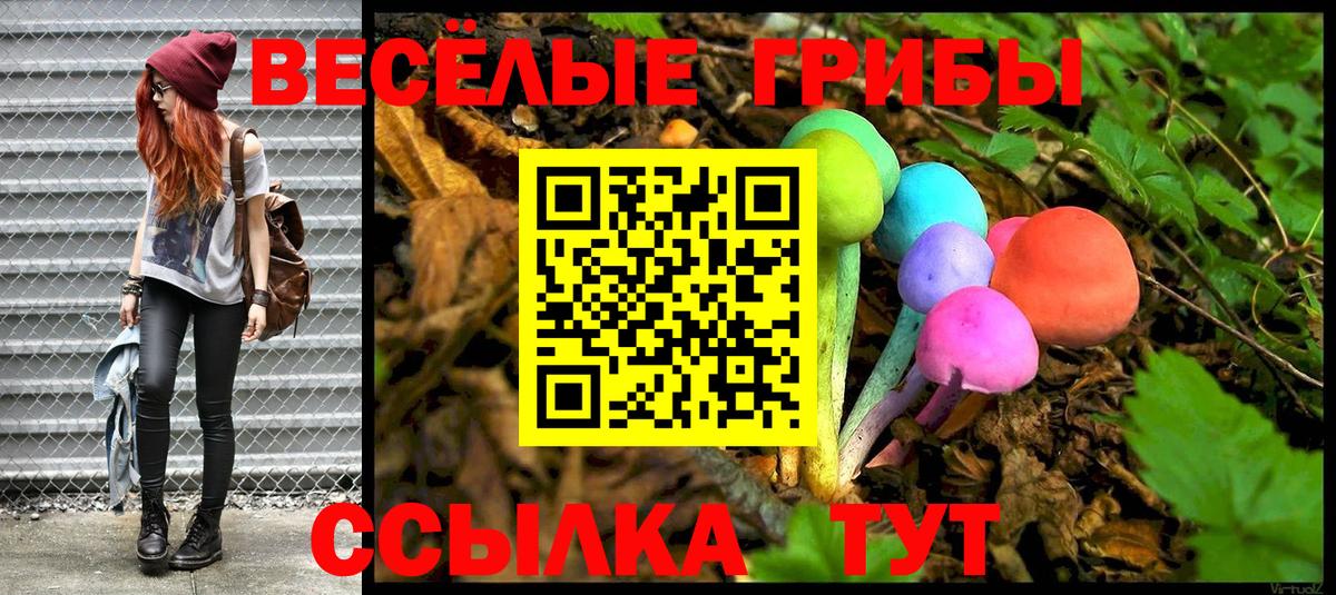 Фурманов  Галлюциногенные грибы MAGIC MUSHROOMS  Вход с VPN  Псилоцибиновые грибы ЛСД 